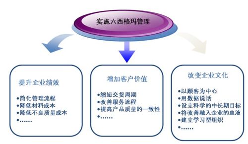 六西格瑪管理法 驅動企業卓越的五步循環